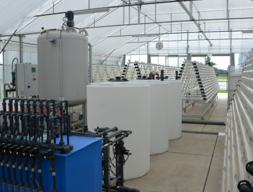 Vlaanderen bouwt mee aan algenketen in Noordwest-Europa