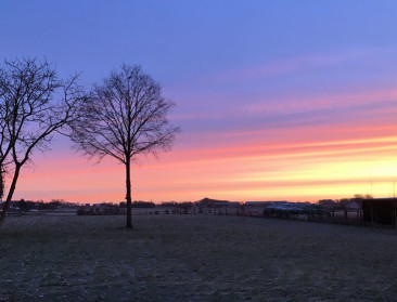 Verschil in tijdskeuzes tussen lidstaten kan EU schaden