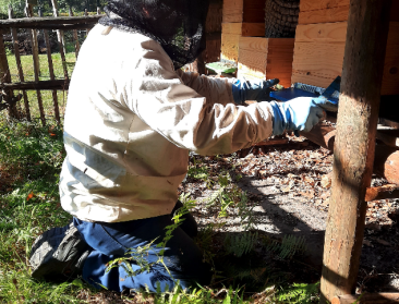 Frank Leroi is de enige bio-imker van België: "Geschikte locaties zijn uiterst schaars"