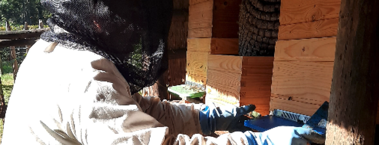 Frank_Leroi_Bio-imker