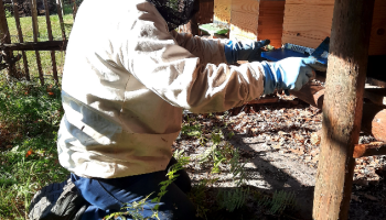 Frank Leroi is de enige bio-imker van België: "Geschikte locaties zijn uiterst schaars"