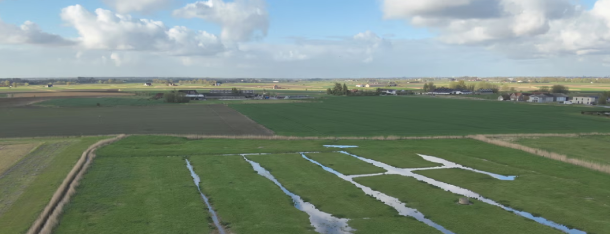 Faunarand plasdras_Bert Dekock VLM
