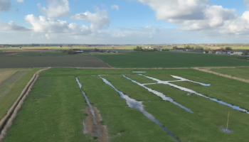 Landbouwers ruilen aardappelen en suikerbieten voor ecoregelingen, maar is dit verstandig?