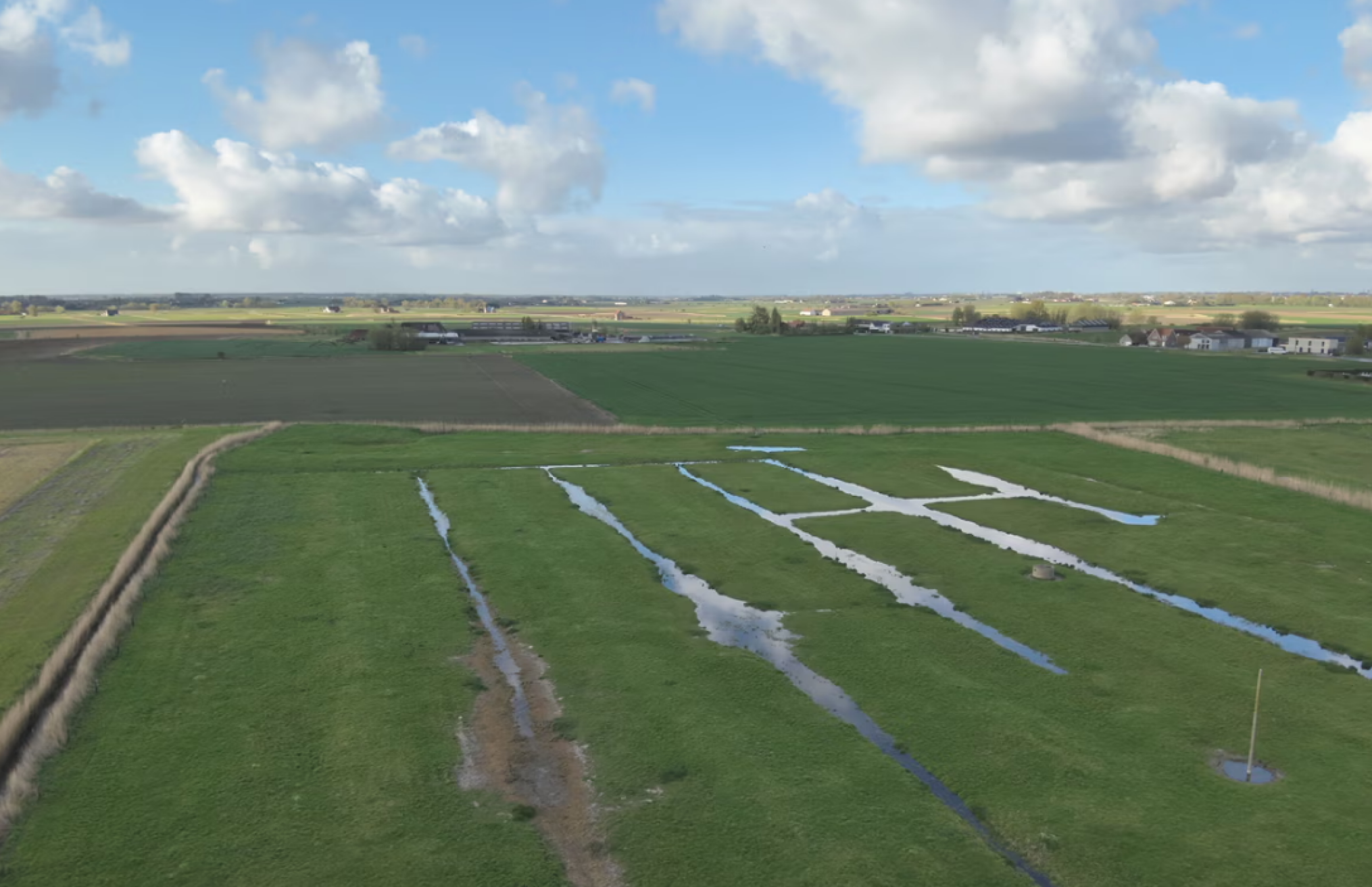Faunarand plasdras_Bert Dekock VLM