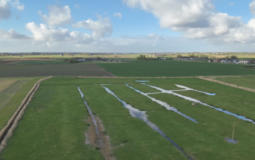 Landbouwers ruilen aardappelen en suikerbieten voor ecoregelingen, maar is dit verstandig?