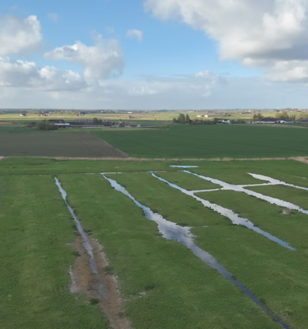 Landbouwers ruilen aardappelen en suikerbieten voor ecoregelingen, maar is dit verstandig?