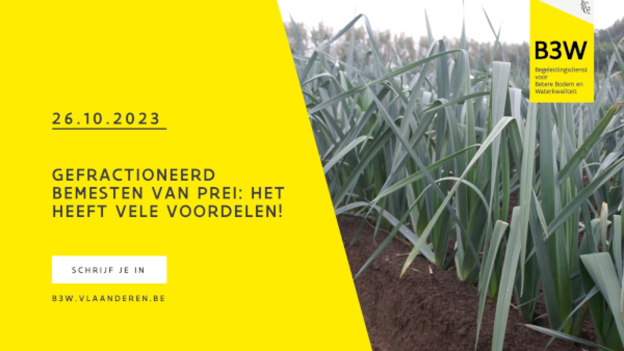 Gefractioneerd bemesten in prei heeft vele voordelen