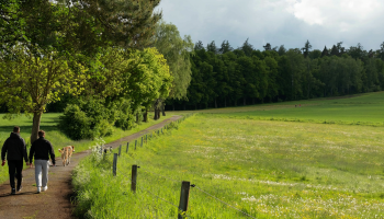 Dryade: “Elk project dat beschermde natuur kan aantasten, moet een milieutoets doorlopen”