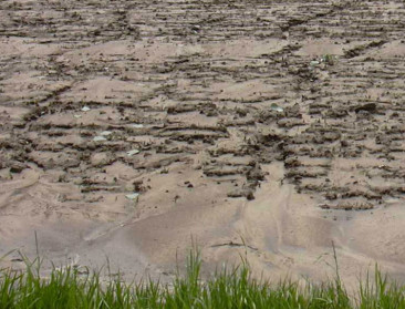 43 miljoen hectare in Europa kwetsbaar voor erosie