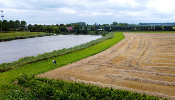 5 veelgestelde vragen over de 5-meterbeschermingsstroken