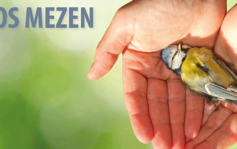 "Mezenonderzoek toont belang goede landbouwpraktijken"