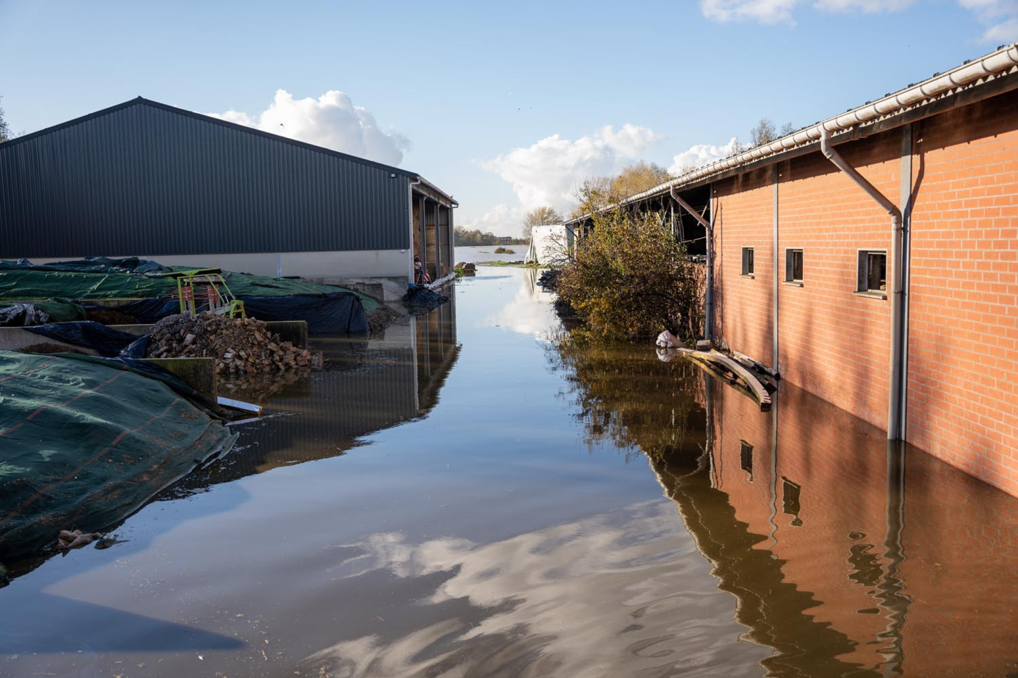 WatersnoodWesthoek_Brouns en Boerenbond (5)
