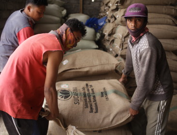 Indonesische landbouwcoöperatie verenigt koffieproductie met herstel regenwoud