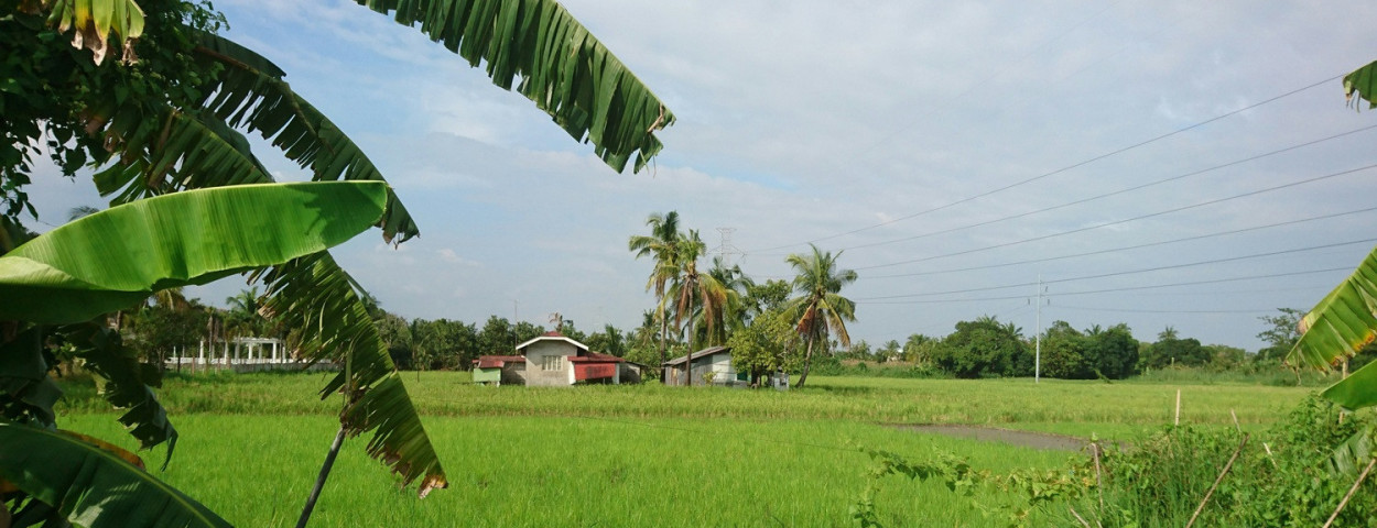 guyanawereld
