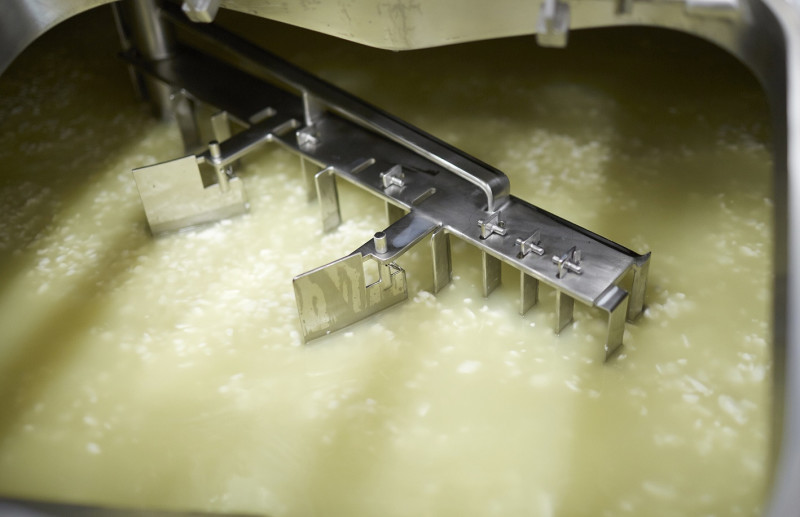 Whey in production_AIC_PilotPlant_CheddarCheese_making_V002