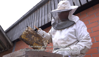 Week van de Bij: op bezoek bij Bioboer Johan in Het Land van Melk en Honing
