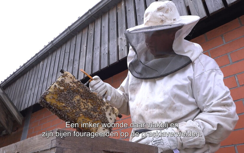 Week van de Bij: Op bezoek bij Bioboer Johan in Het Land van Melk en Honing