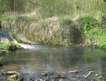 Meeste pv's voor stroperij in Oost- en West-Vlaanderen