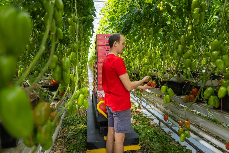 2026-04-21-Friends of Cartel-Tomato Masters-018
