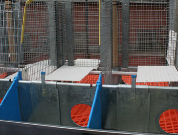 Parkhuisvesting wordt de standaard bij konijnenkwekers