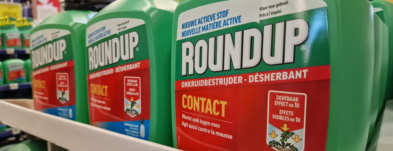 roundupbayer