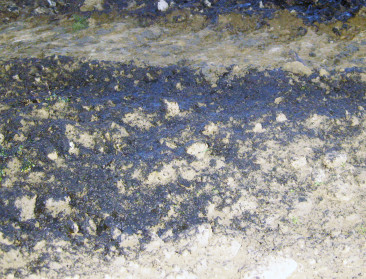 Mestlozing blijft inferieure reden voor nitraatprobleem