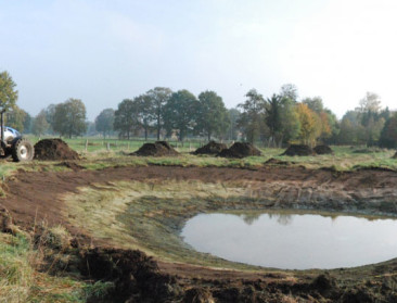 144 pv's voor onrechtmatig vernietigde natuur in 2019