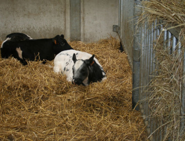 Nieuwe geldinjectie voor onderzoek door en voor boeren