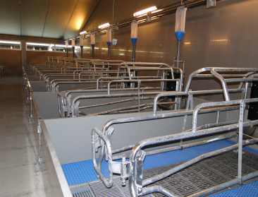 "Zet verder in op bewustmaking antibioticumgebruikers"