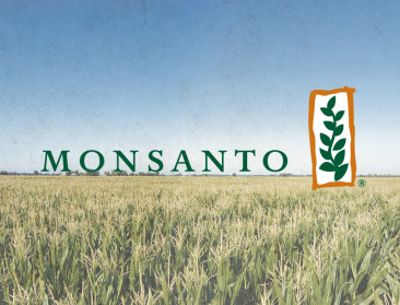 Vietnam eist schadevergoeding van Monsanto