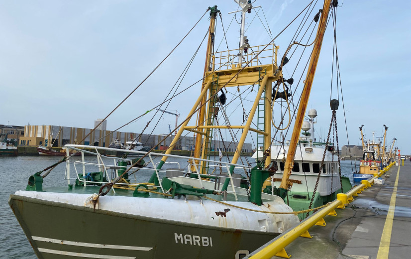 Crevits stelt nieuw beleid visserij voor: “Toegang tot viswateren met voldoende quota is voor Vlaamse vissers cruciaal”