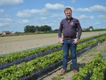 Jonge boeren: Alexander (31) is enige opkweker van wijnplantgoed in lage landen
