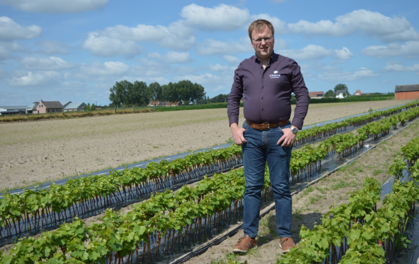 Jonge boeren: Alexander (31) is enige opkweker van wijnplantgoed in lage landen