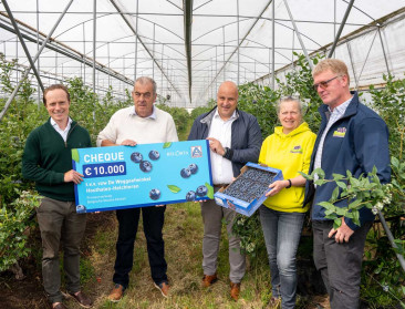 Aldi gaat aan de haal met eerste Vlaamse bessen