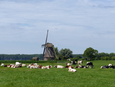 Gelderland investeert in sensoren die stikstof op landbouwbedrijf meten