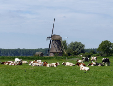 Krimp veestapel zal Nederland 1,5 miljard euro en 13.300 arbeidsplaatsen kosten