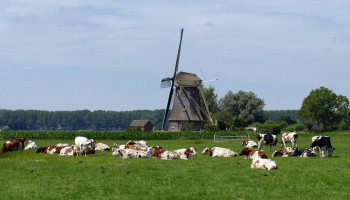 Krimp veestapel zal Nederland 1,5 miljard euro en 13.300 arbeidsplaatsen kosten
