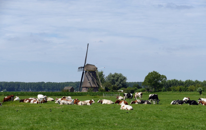 Versoepeling Nederlandse vergunningverlening jaren uitgesteld: “Meer onderzoek nodig”