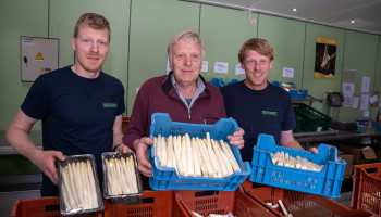 Teleurstellend aspergeseizoen enigszins gecompenseerd met korteketenverkoop