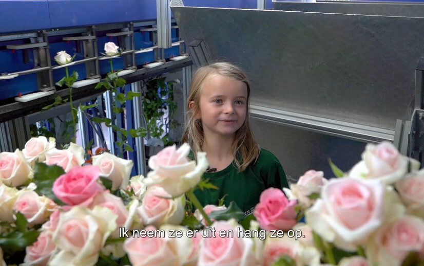 🎥 Jong Geleerd: Fien Scheers (6) stelt de bloemenkwekerij van haar ouders voor