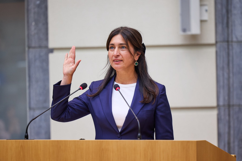 zuhaldemirVlaParl