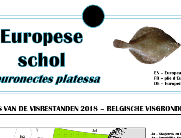 De Belgische visserij in een oogopslag