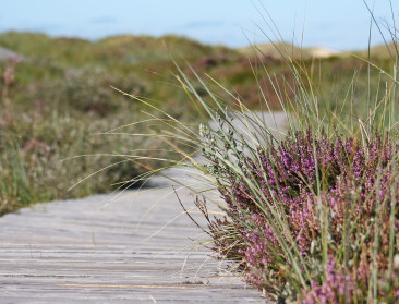 Groene Kring over parkenbeleid: “Je bouwt geen Vlaamse Grand Canyons op drijfzand”