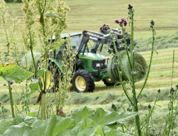 Marktonderzoek toont zowel optimisme als terughoudendheid onder de landbouw