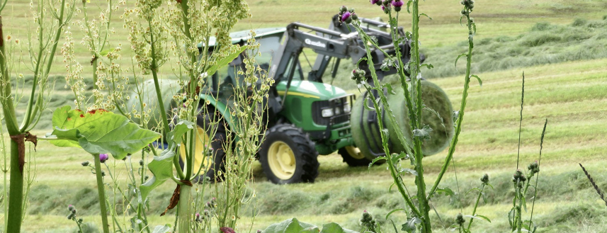 grashooioogsttractor