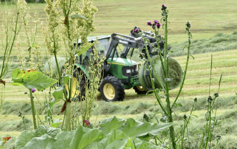 Marktonderzoek toont zowel optimisme als terughoudendheid onder de landbouw