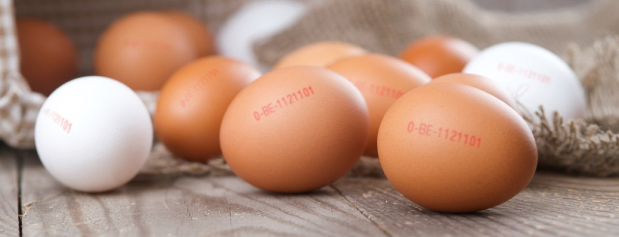 eieren code stempel_VLAM