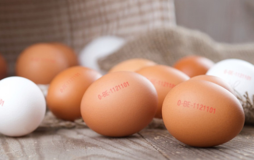 Een bacterie met een reputatie: Hoe de sector salmonella aanpakt