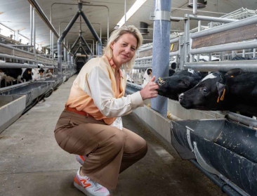 Dit zijn de 10 best gelezen VILT-artikels van 2025