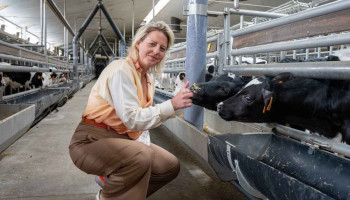 Dit zijn de 10 best gelezen VILT-artikels van 2025